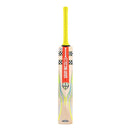 Gray Nicolls Tempesta 1.0 300 Cricket Bat - Cricket shop italy
