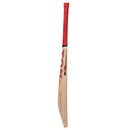 Ton Maximus Kashmir Willow Cricket Bat SS