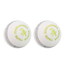 Kookaburra Ultra Bounce Cricket Ball - Cricket shop italy