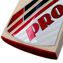 Protos Usus English Willow Cricket Bat - Cricket shop italy