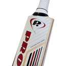 Protos Usus English Willow Cricket Bat - Cricket shop italy