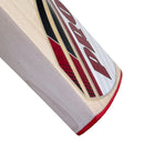 Protos Usus English Willow Cricket Bat - Cricket shop italy