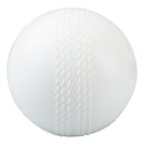 Wind Cricket Ball White Cricket shop italy
