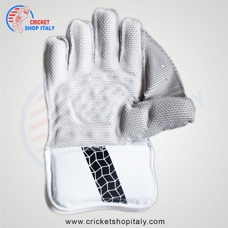 Mrf Warrior Classic Wicket Keeping Gloves