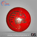 DS Cricket Ball Red DS Sports