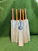 DS 1.0 Kashmir Willow Cricket Bat DS Sports