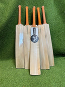 DS 1.0 Kashmir Willow Cricket Bat DS Sports