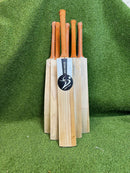 DS 1.0 Kashmir Willow Cricket Bat DS Sports