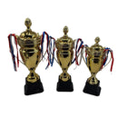 Imperial Crown Cricket Trophy DS Sports