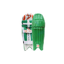 DS 1.0 Cricket Batting Set Green DS Sports