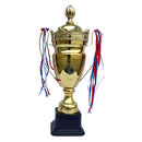 Imperial Crown Cricket Trophy DS Sports