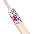 Kookaburra Glare 6.1 Special Cricket Bat Kookaburra
