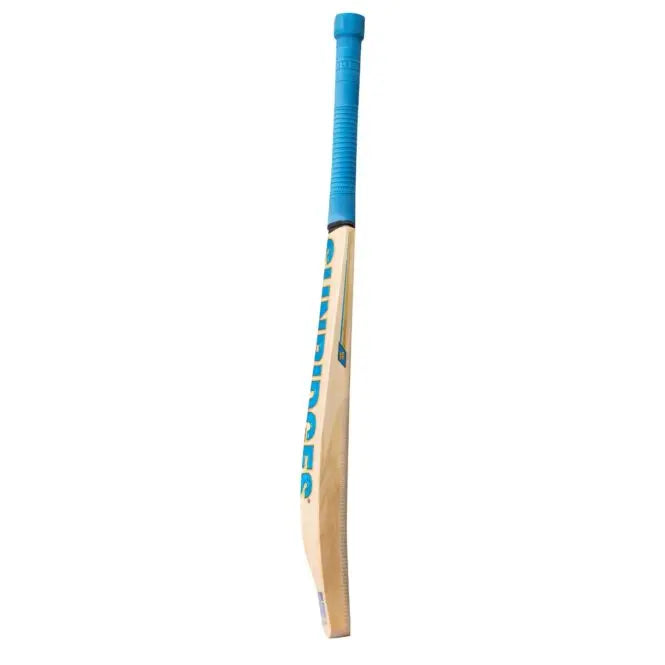 SS Vintage Bolt Kashmir Willow Cricket Bat SS