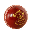 MRF CRICKET BALL GENIUS MRF