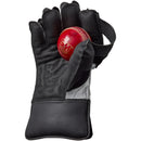 Gunn & Moore Rival 909 Wicket keeping Gloves Gunn and Moore