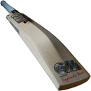 Gunn & Moore Rival DXM 606 Cricket Bat Gunn and Moore