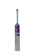 SS Master 500 English Willow Cricket Bat SS