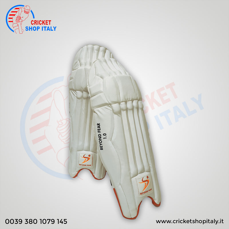 DS Sports 1.0 Junior Batting Pads