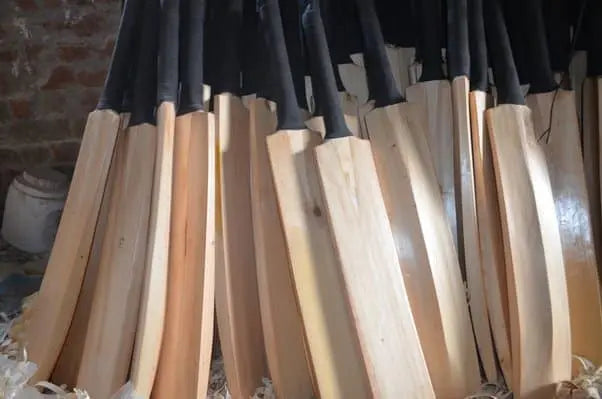 Plan Cricket Bat