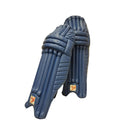  DS Sports Blu Cricket Batting Pads 1