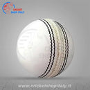 Practice 2 Piece Cricket Ball