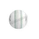 Cricket Ball Hard Plastic (Practice Ball) 2