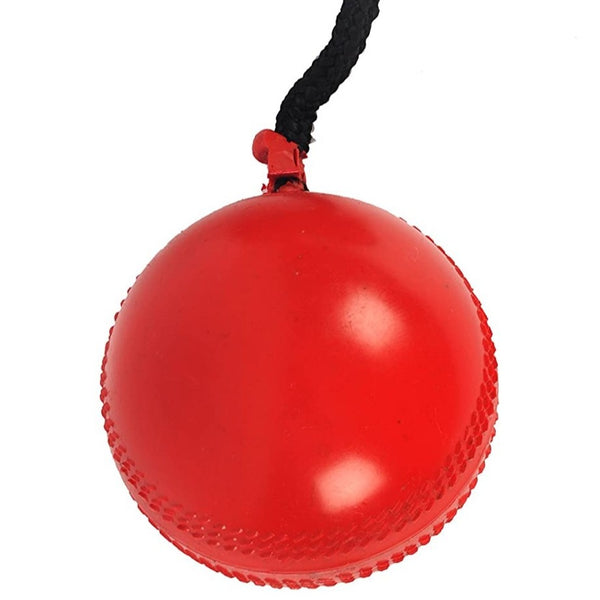 Cricket Ball-Hanging Ball